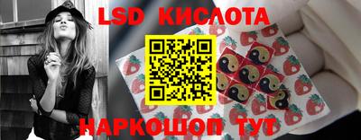 jwh Ростов-на-Дону