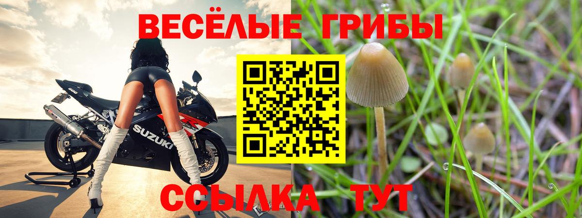 Псилоцибиновые грибы прущие грибы Астрахань
